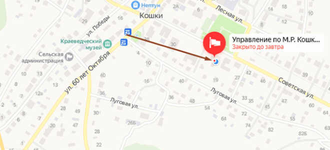 Соцзащита в с. Кошки